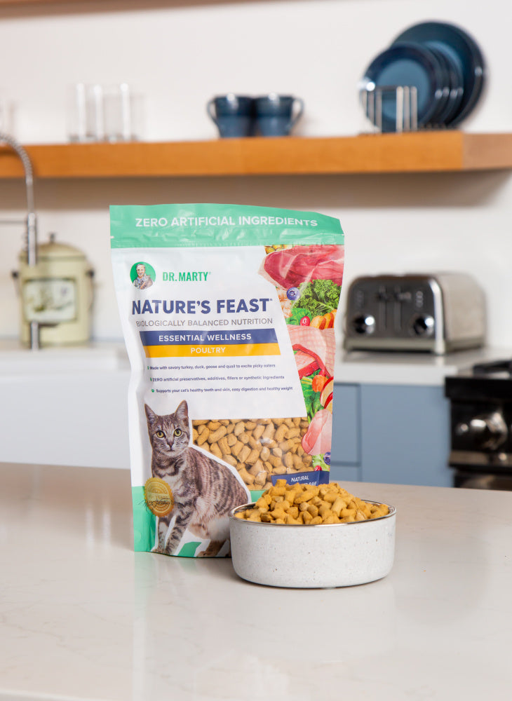 Dr. Marty Nature's Feast Essential Wellness Poultry Freeze Dried Raw Cat Food