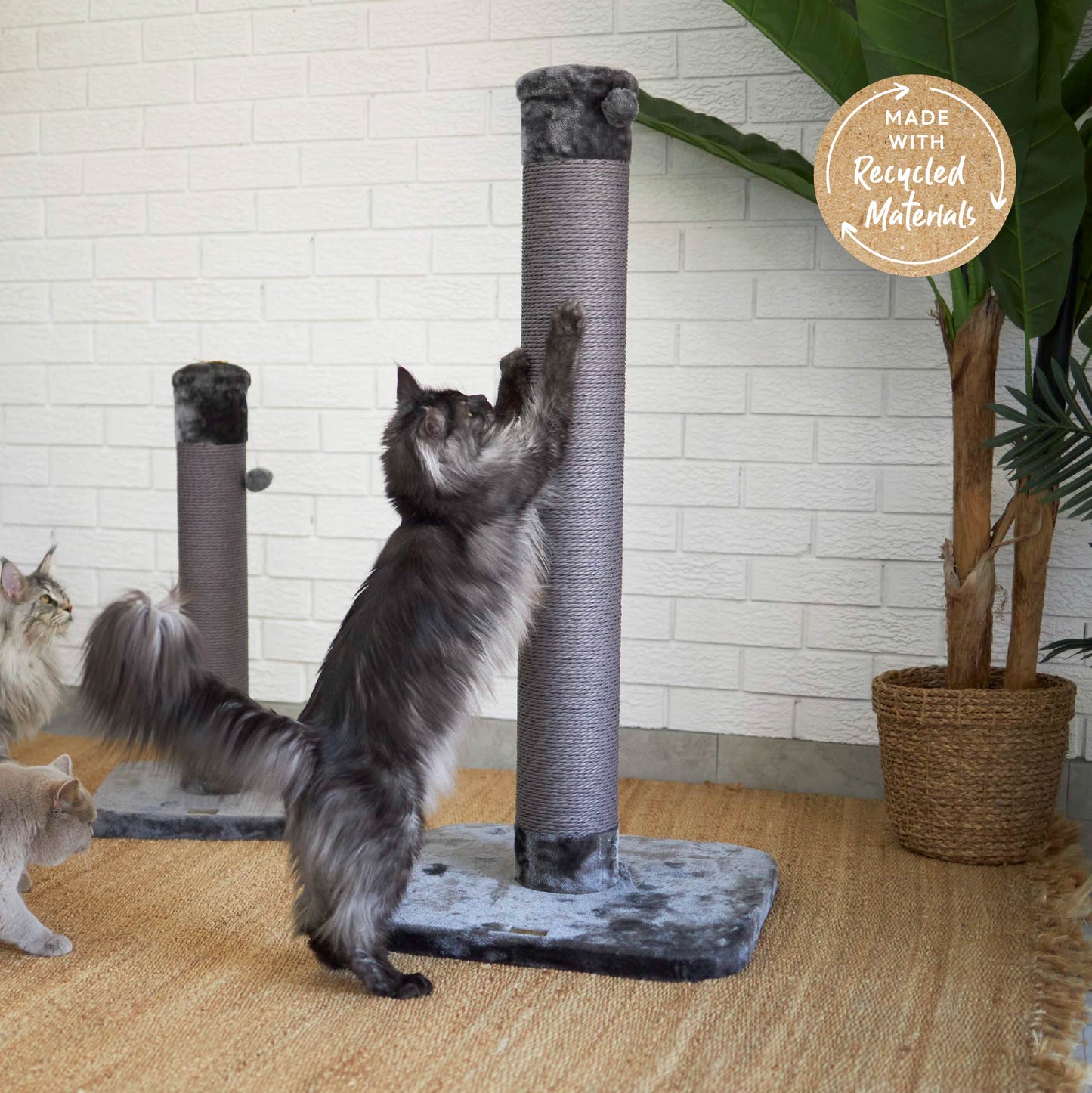 Eco Kitty Scratch Post in Charcoal - Large