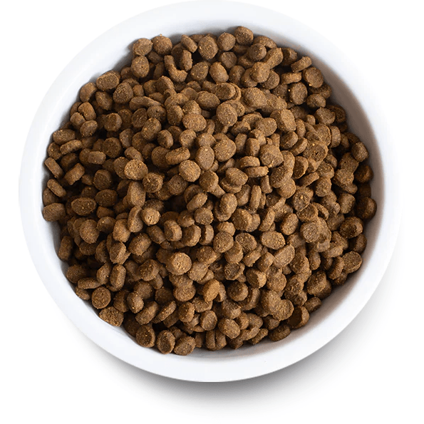 Open Farm Cat Food Wild Caught Salmon