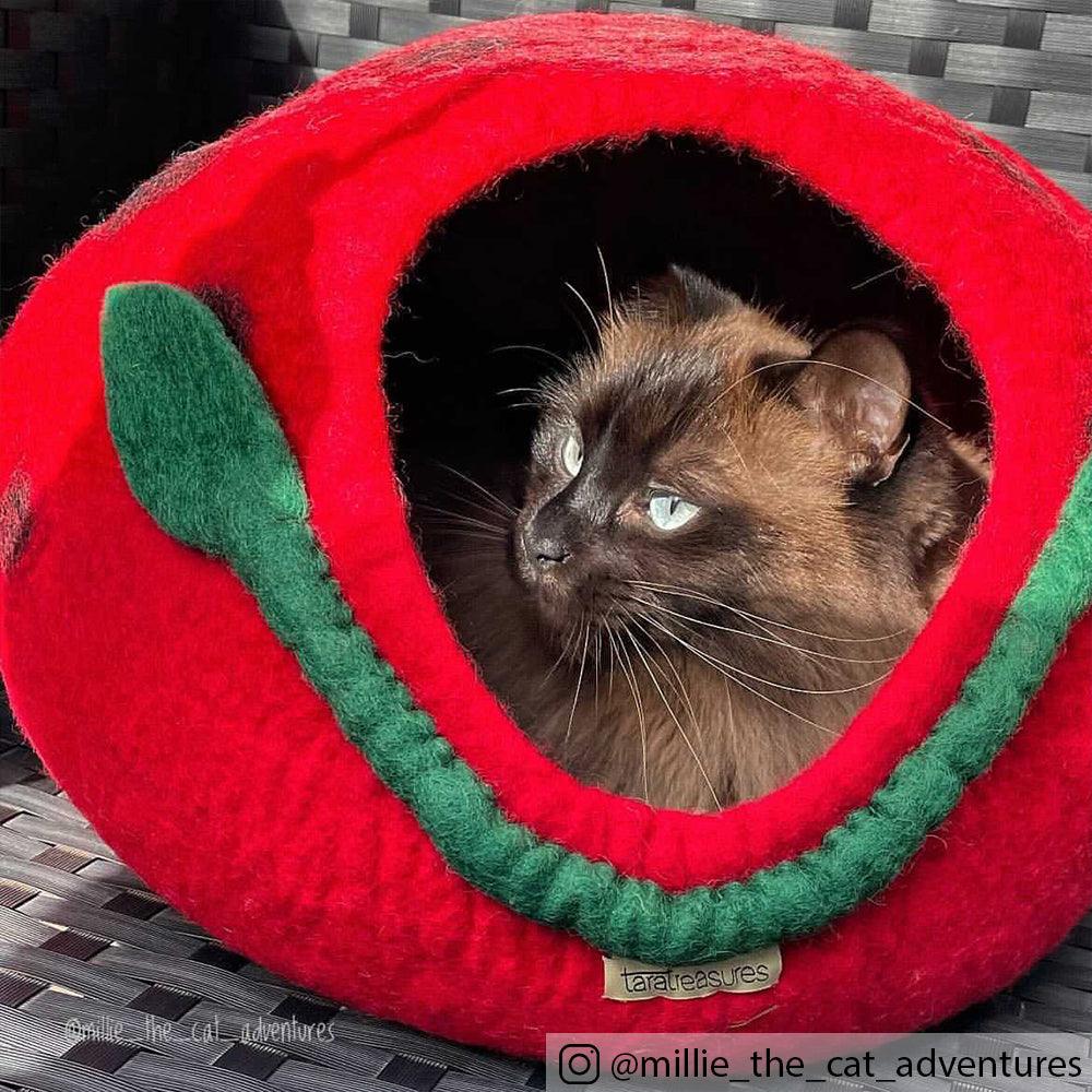 Cat Cave - Polka Dot Cocoon