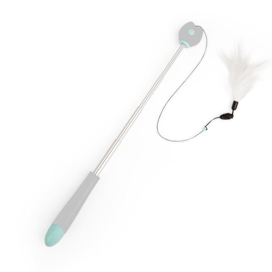 Pawise Play & Chase Extendable Telescopic Teaser Wand w/Laser & Interchangeable Feather Tip Cat Toy