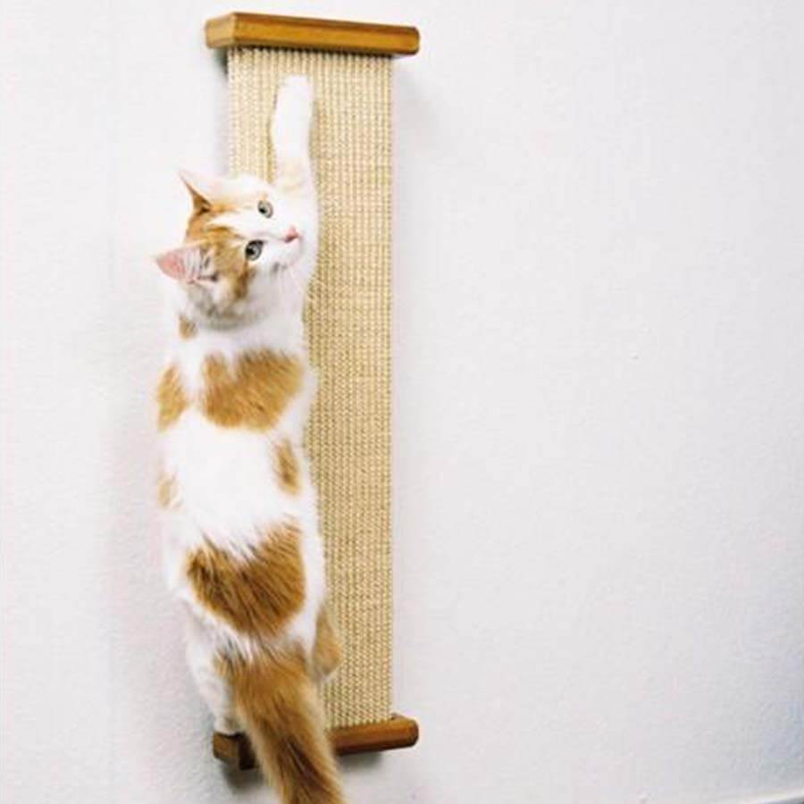 SmartCat Combination Scratcher