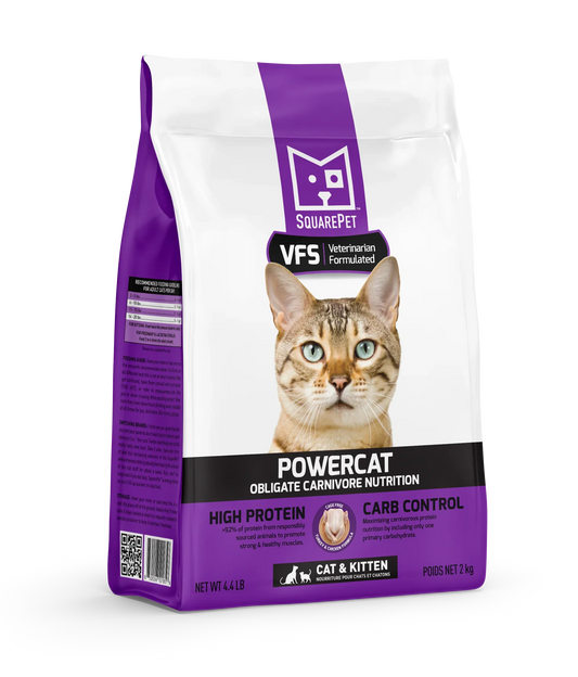 Square Pet Cat PowerCat Turkey & Chicken (Purple)