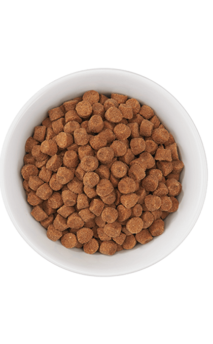 Tiki Cat Born Carnivore Chicken & Egg