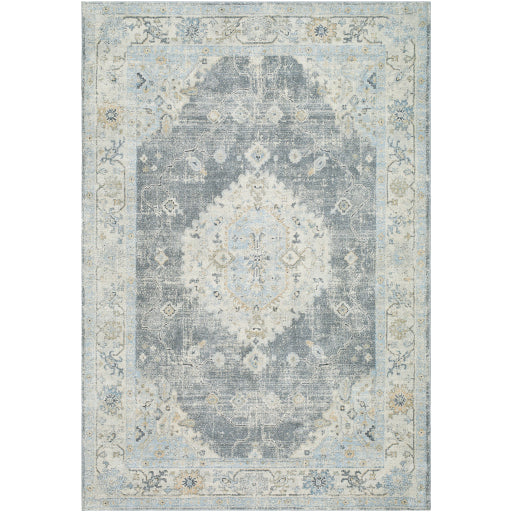 Avellino AVL-2315 Rug-  Beige, Blue, Gray