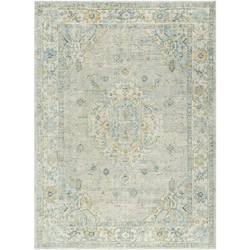 Avellino AVL-2316 Rug-  Beige, Teal, Gray