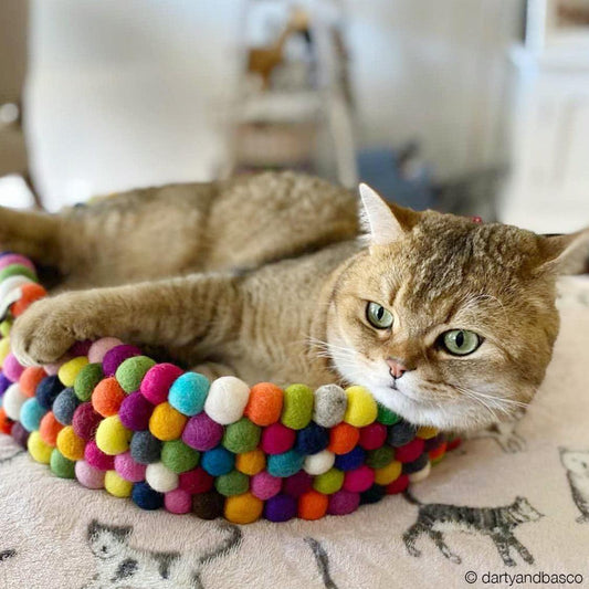 Colourful Felt Ball Basket for Cats