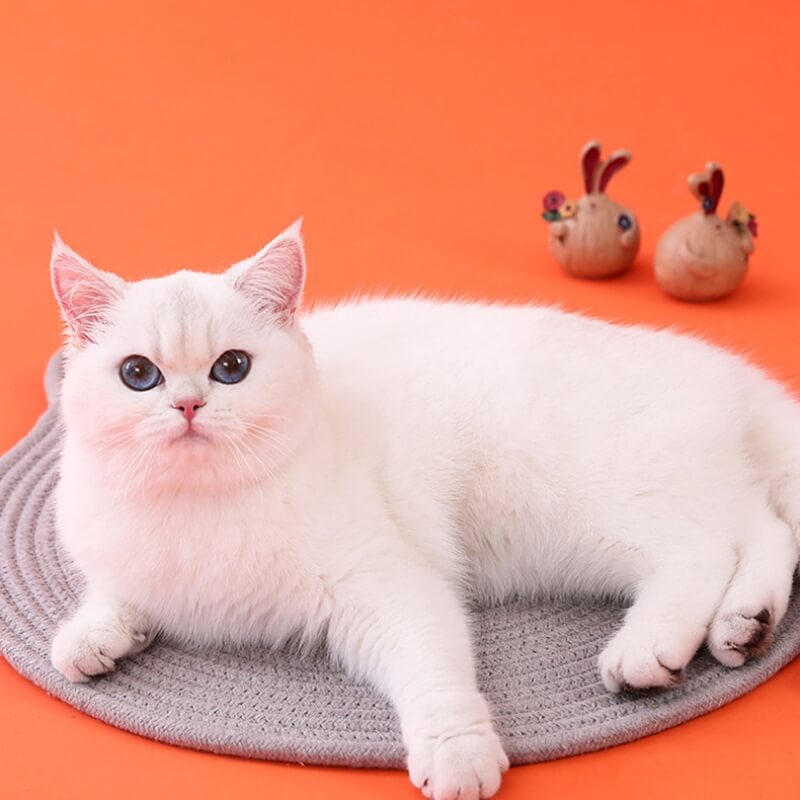 Cat Ears Shape Woven Cotton Rope Mat Cat Scratching Mat