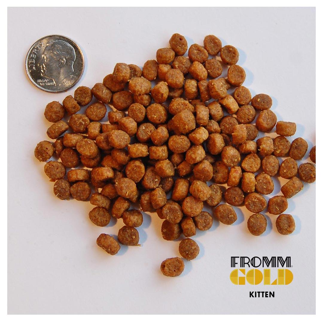 Fromm Gold Kitten Food